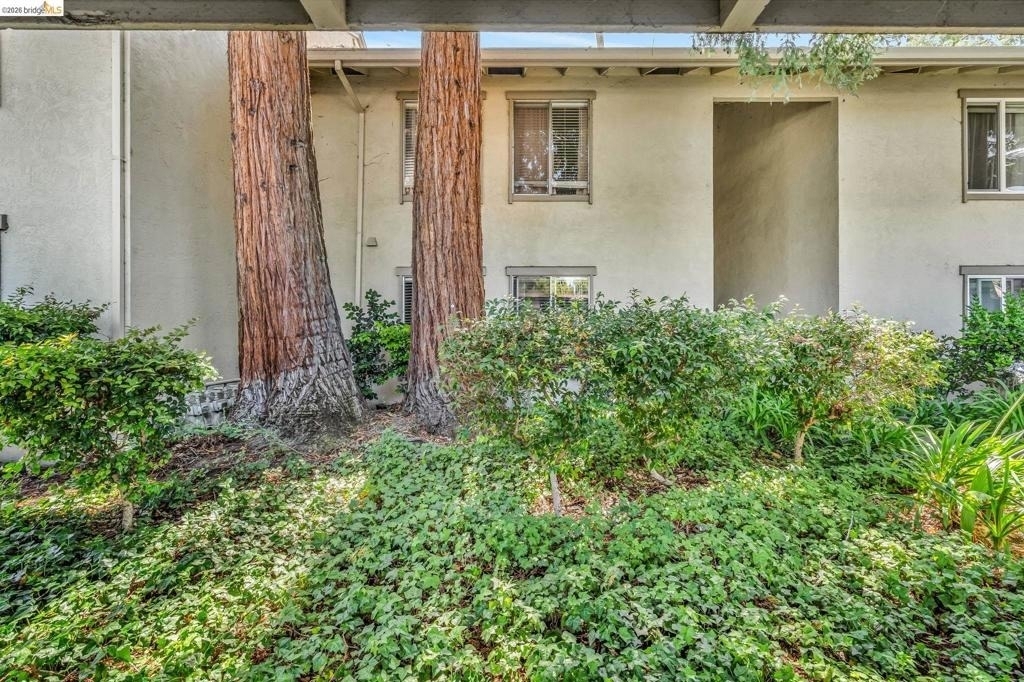 2562 Walnut Blvd. - Photo 3