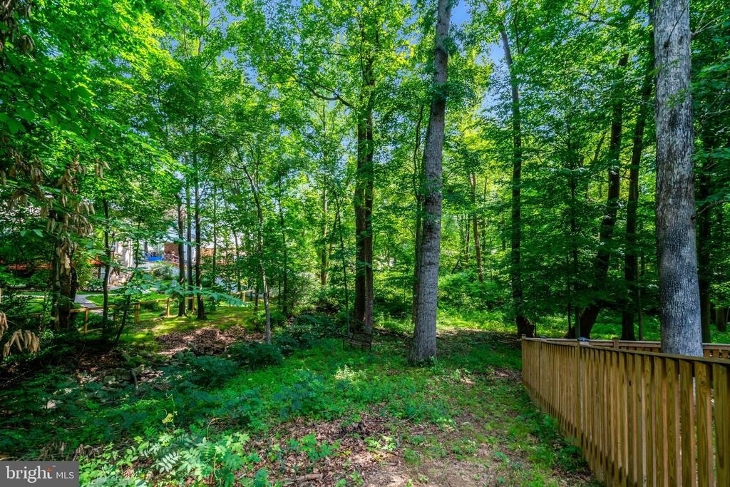 7217 Reservation Drive - Photo 53