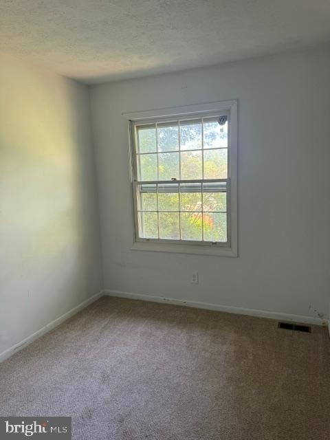 237 Cameron Street - Photo 12