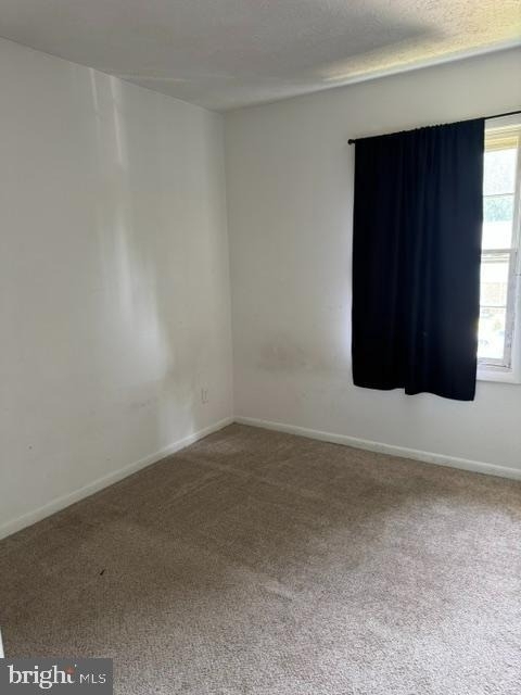 237 Cameron Street - Photo 10