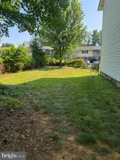 237 Cameron Street - Photo 3