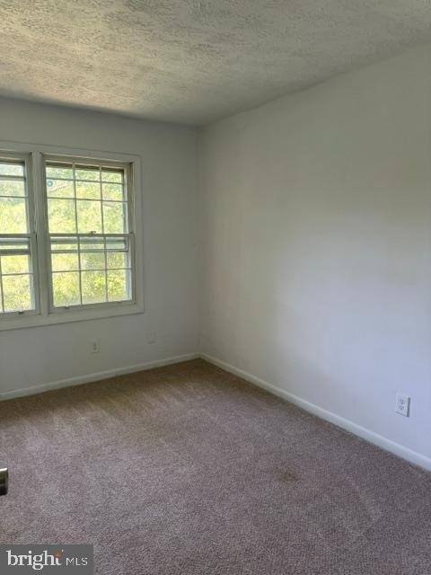 237 Cameron Street - Photo 13