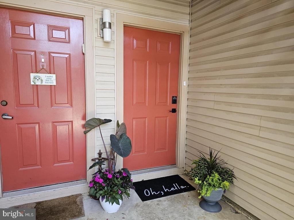 290 Tavistock - Photo 0