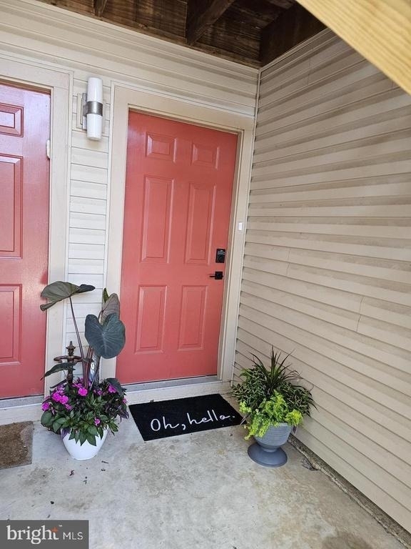 290 Tavistock - Photo 1