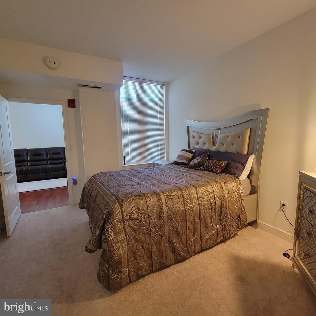 155 Potomac Psge - Photo 8