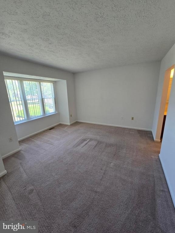 6047 Sirenia Place - Photo 19