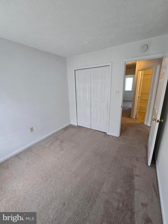 6047 Sirenia Place - Photo 13