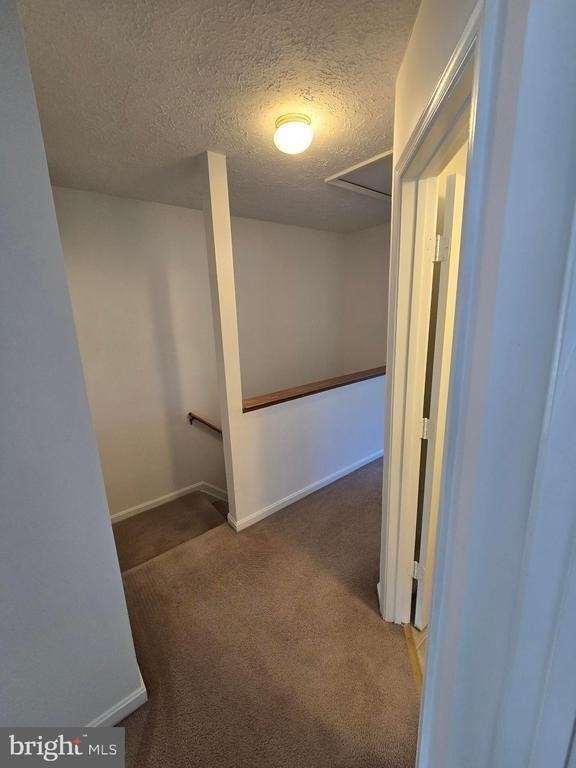 6047 Sirenia Place - Photo 12