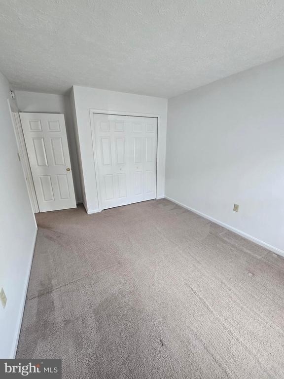 6047 Sirenia Place - Photo 15