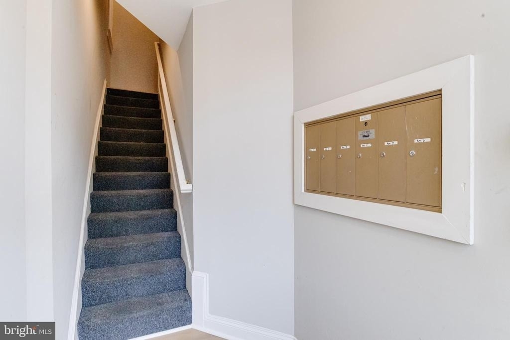 847 Park Avenue - Photo 1