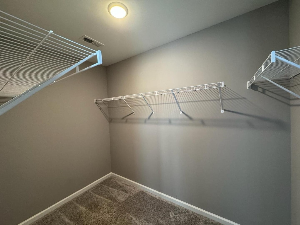 1024 Laceflower Drive - Photo 21
