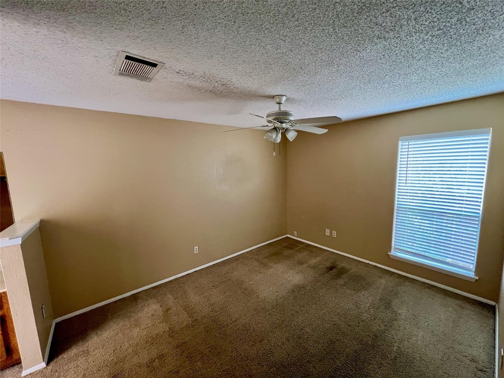 12223 Tyson Cv - Photo 10