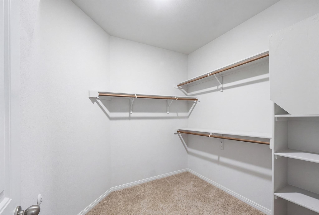 217 Evergreen Sumac Loop - Photo 12