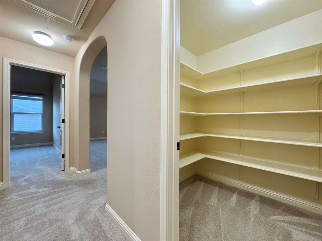 4216 Buckskin Rd - Photo 26