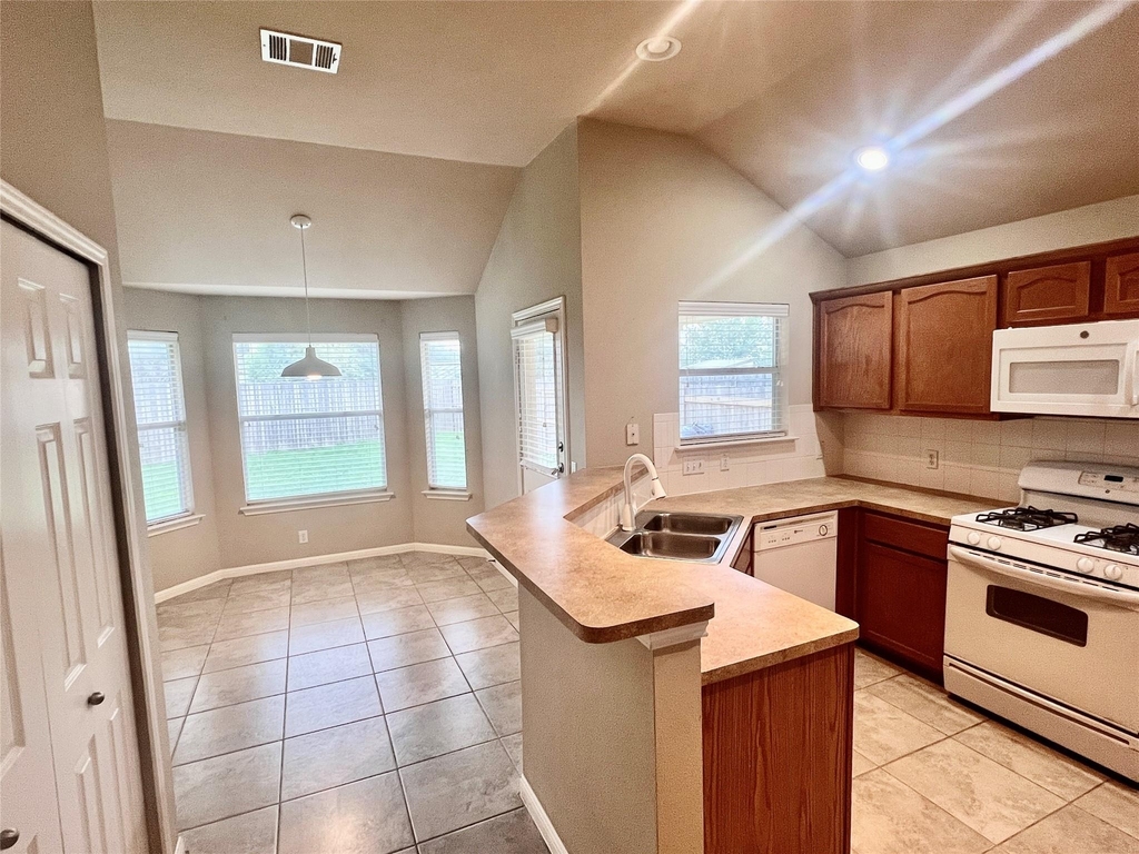2509 Elara Dr - Photo 6