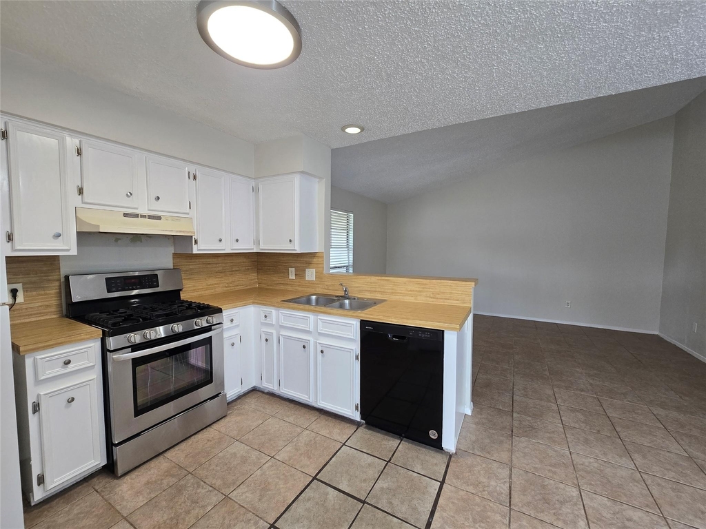 6206 Buffalo Pass - Photo 4
