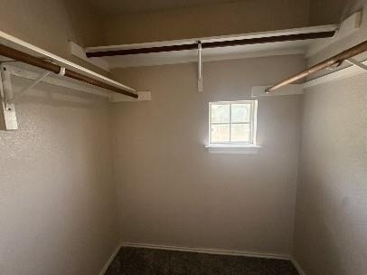 1729 Constantino Cir - Photo 19