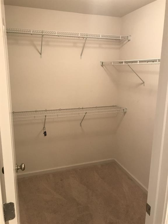 2058 Brightleaf Way - Photo 12
