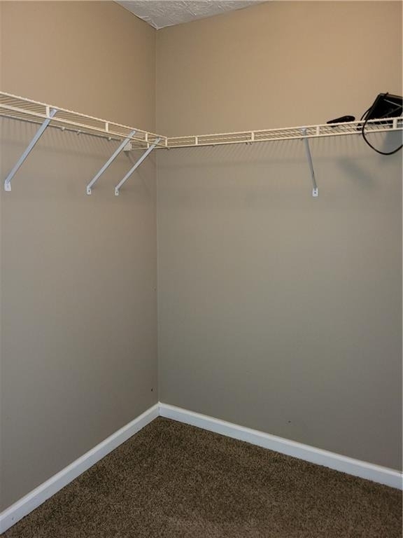 3428 Homeward Trail - Photo 6