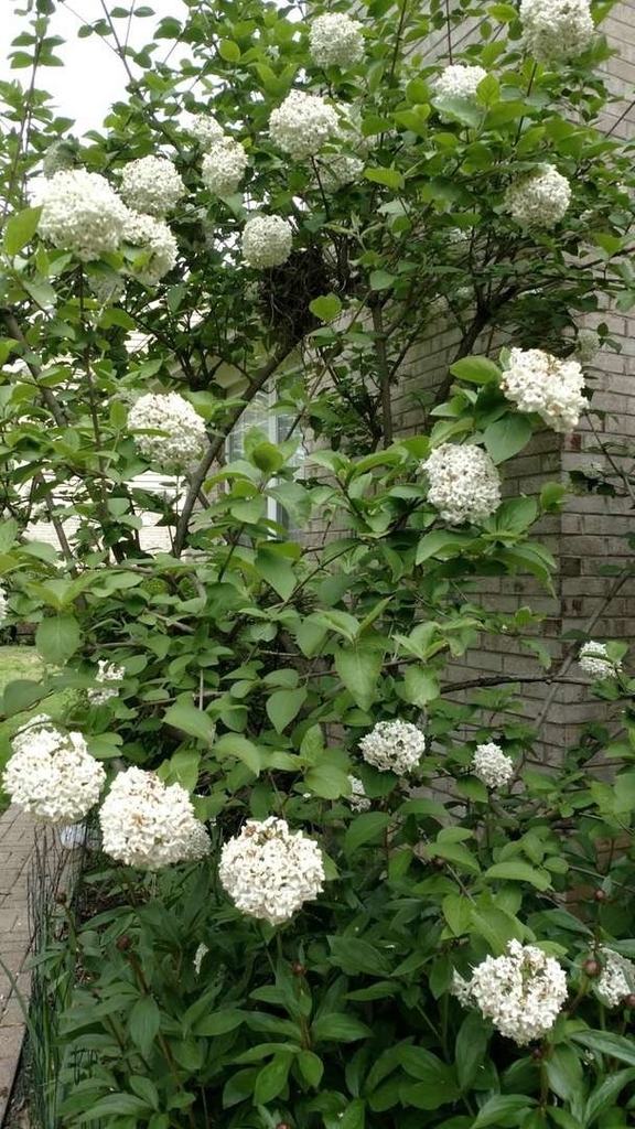 33 River Oaks Circle E - Photo 22