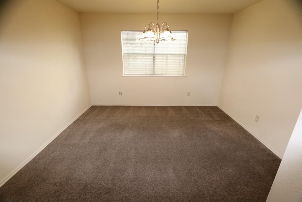 10031 Red Wolf Lane - Photo 3