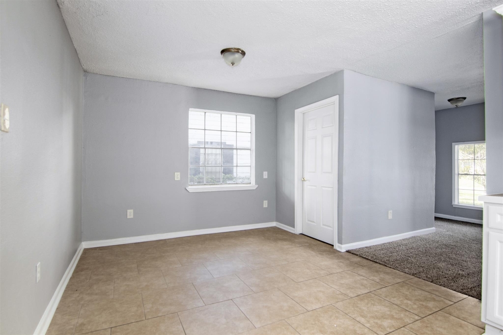 7244 Rhobell Street - Photo 9