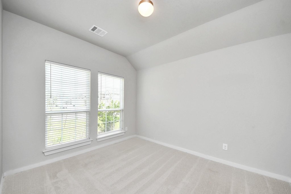 3335 Hackberry Tree Lane - Photo 9