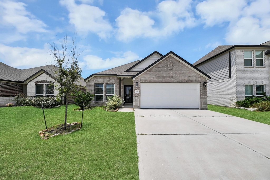 3335 Hackberry Tree Lane - Photo 1