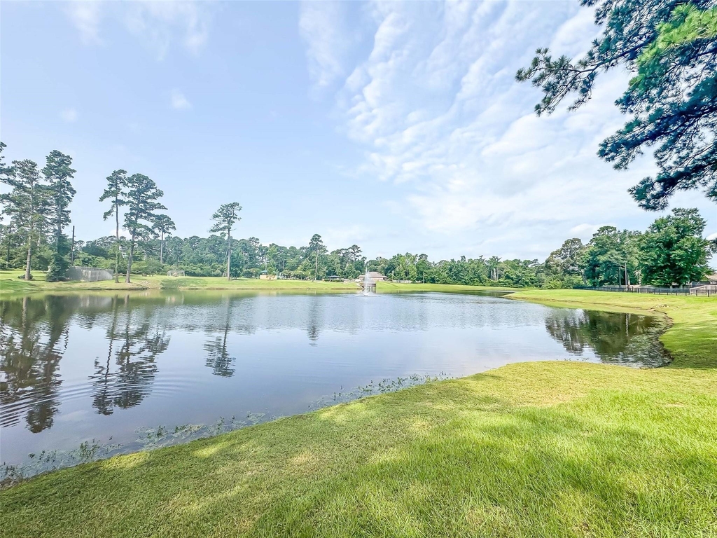 277 Stalwart Hill Trail - Photo 39