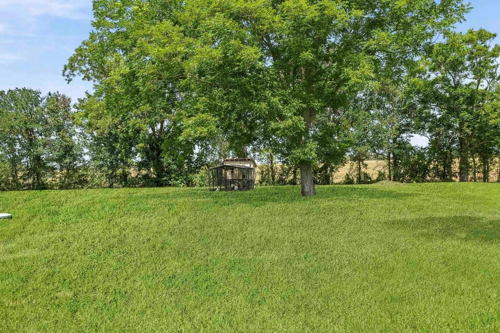 302 Country Road 893 - Photo 2
