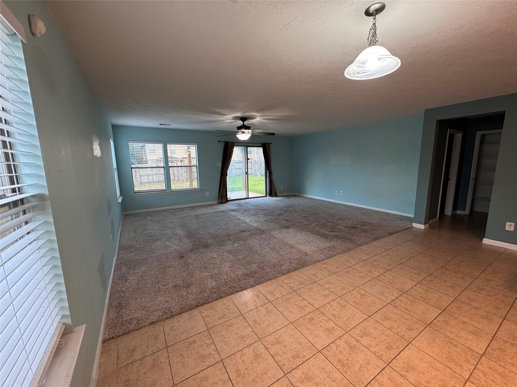18703 Brown Redbud Court - Photo 13