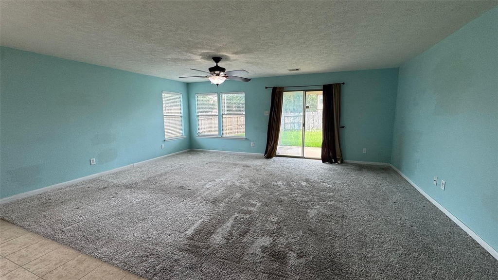 18703 Brown Redbud Court - Photo 7