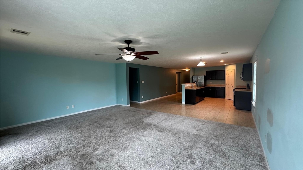 18703 Brown Redbud Court - Photo 6