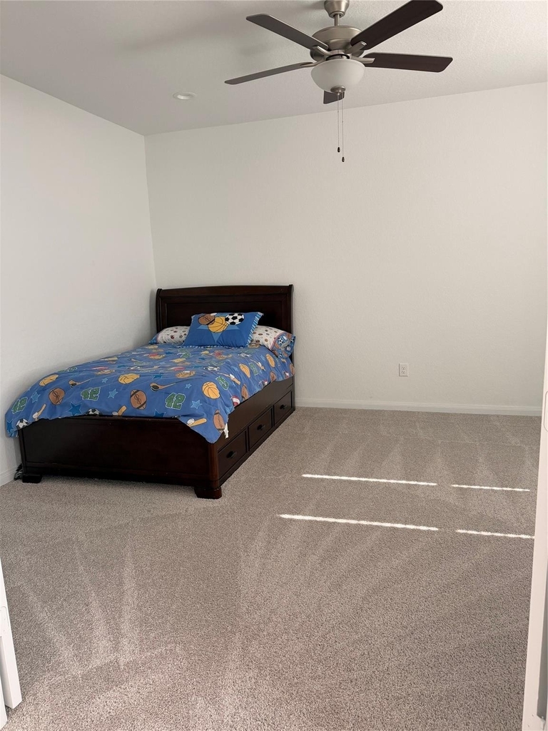 3223 Field Thistle - Photo 15
