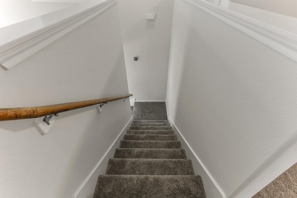 6475 Calgary Woods Lane - Photo 10
