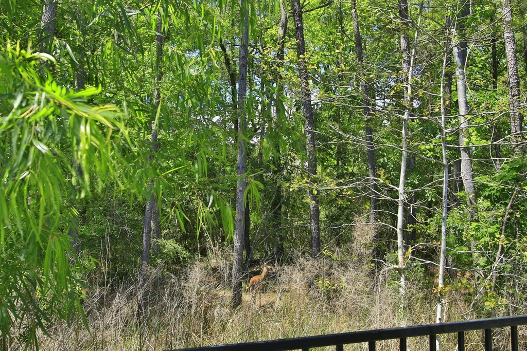 282 Sky Top Drive - Photo 39