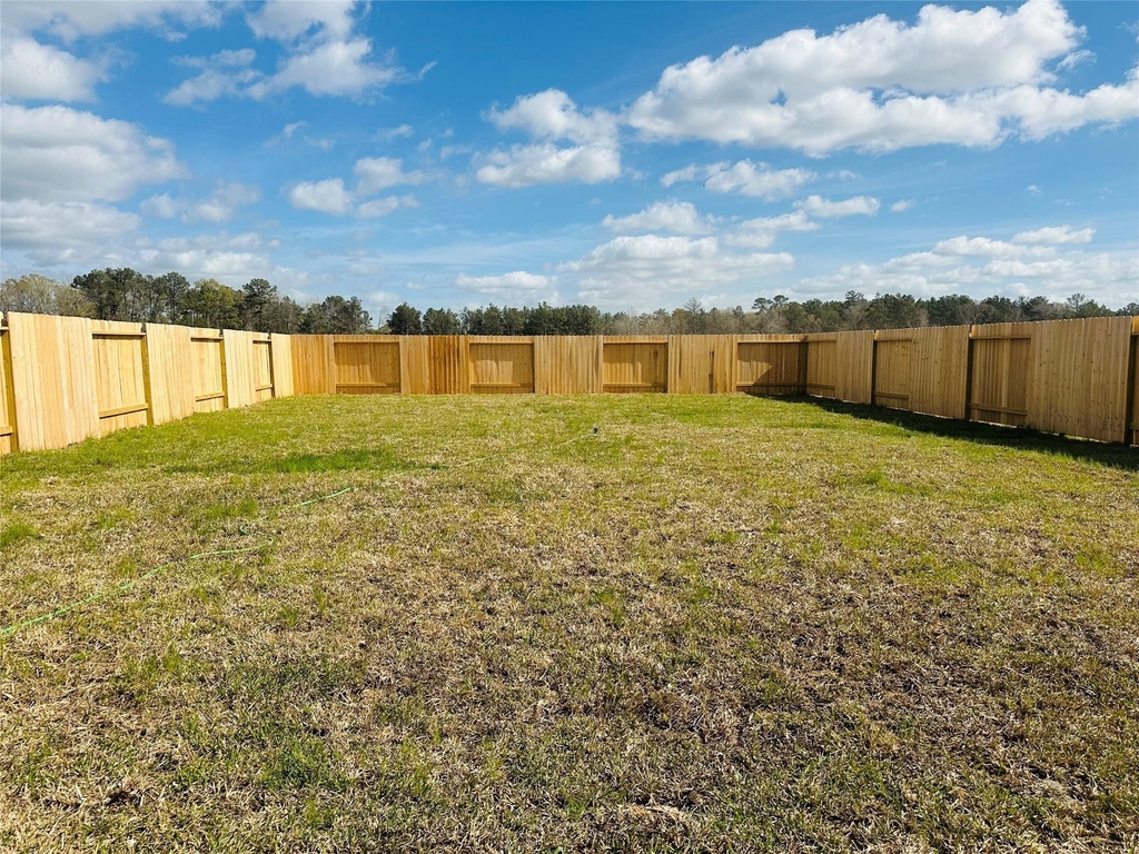 16477 Blossom Grove Drive - Photo 19