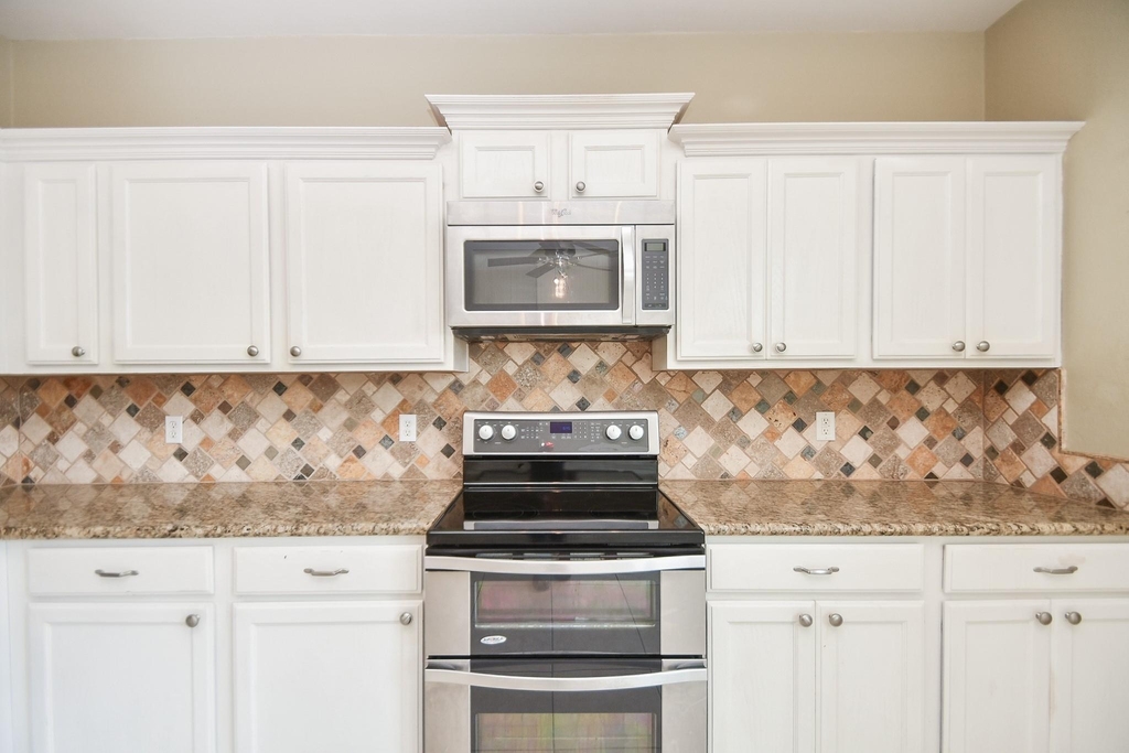16843 Mammoth Springs Drive - Photo 9