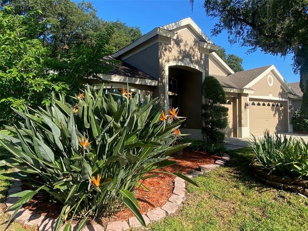 10542 San Travaso Drive - Photo 2