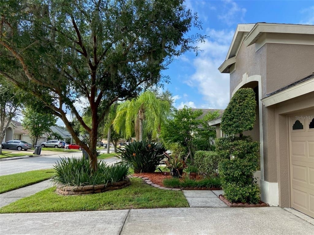 10542 San Travaso Drive - Photo 3
