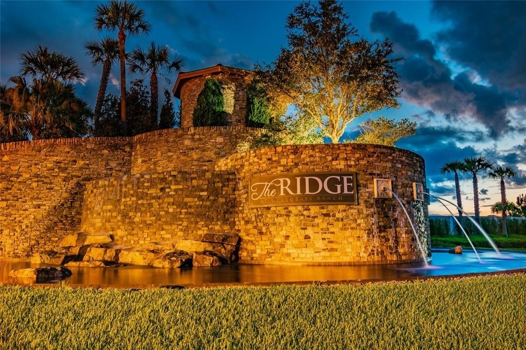 30715 Tumbleberry Street - Photo 13