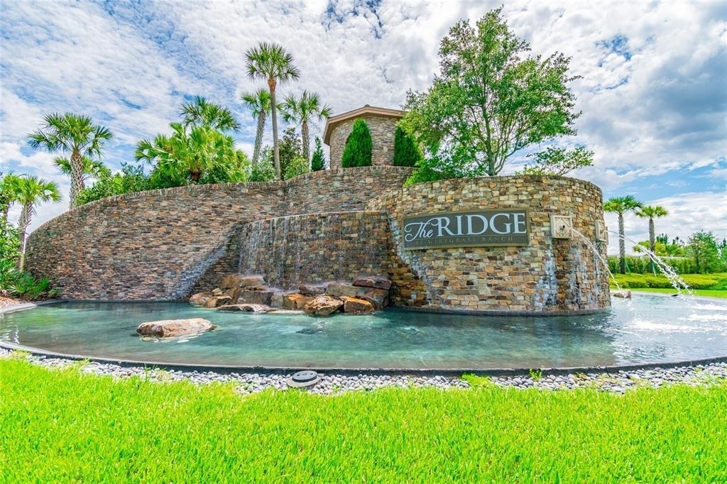 30715 Tumbleberry Street - Photo 5