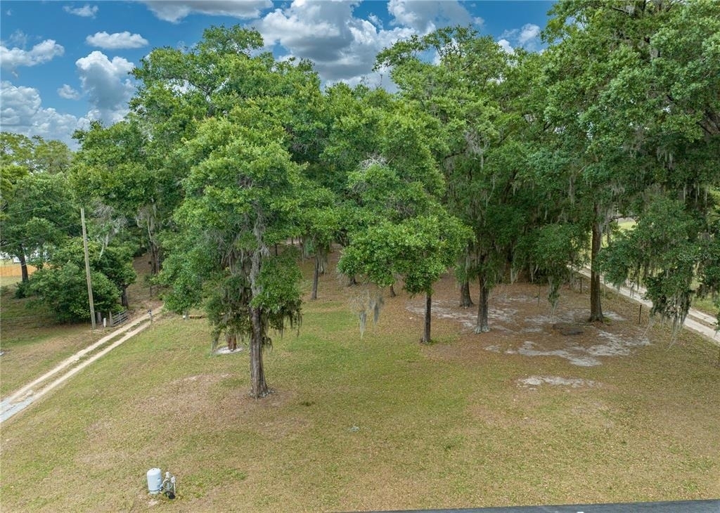 12806 Judy Street - Photo 48