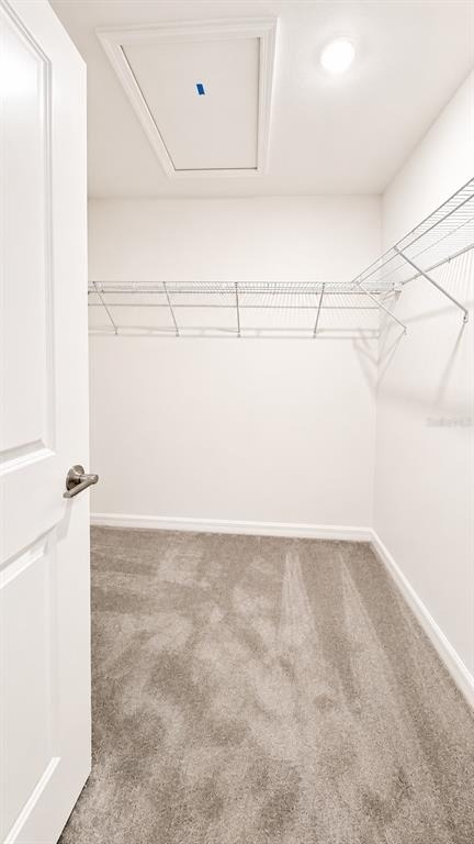 9094 Gallantree Place - Photo 16
