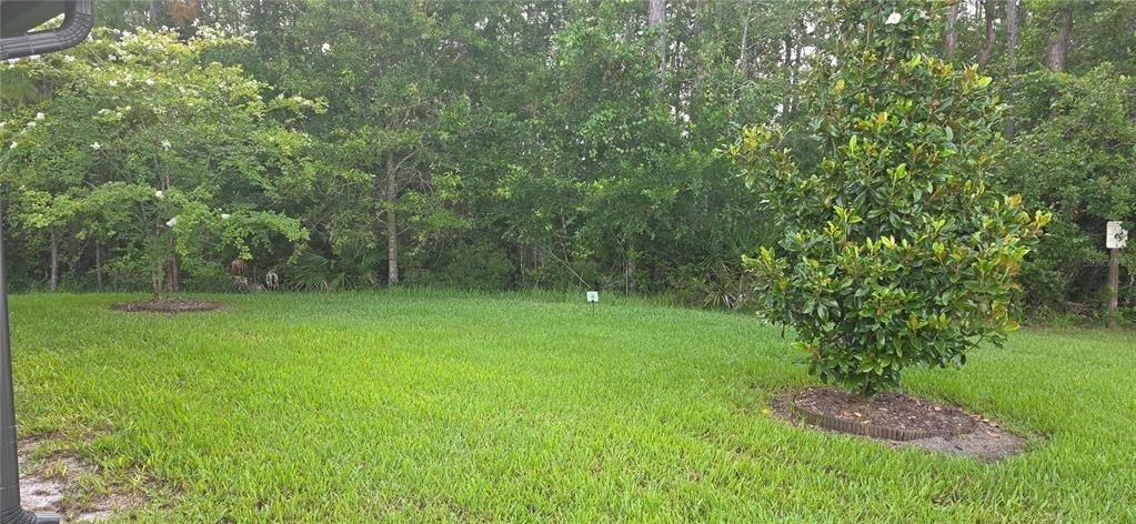 16 Pinnacle Place - Photo 23