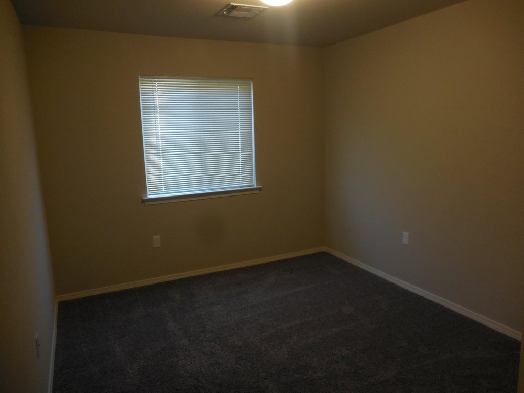 11605 Flor Cedro Place - Photo 12