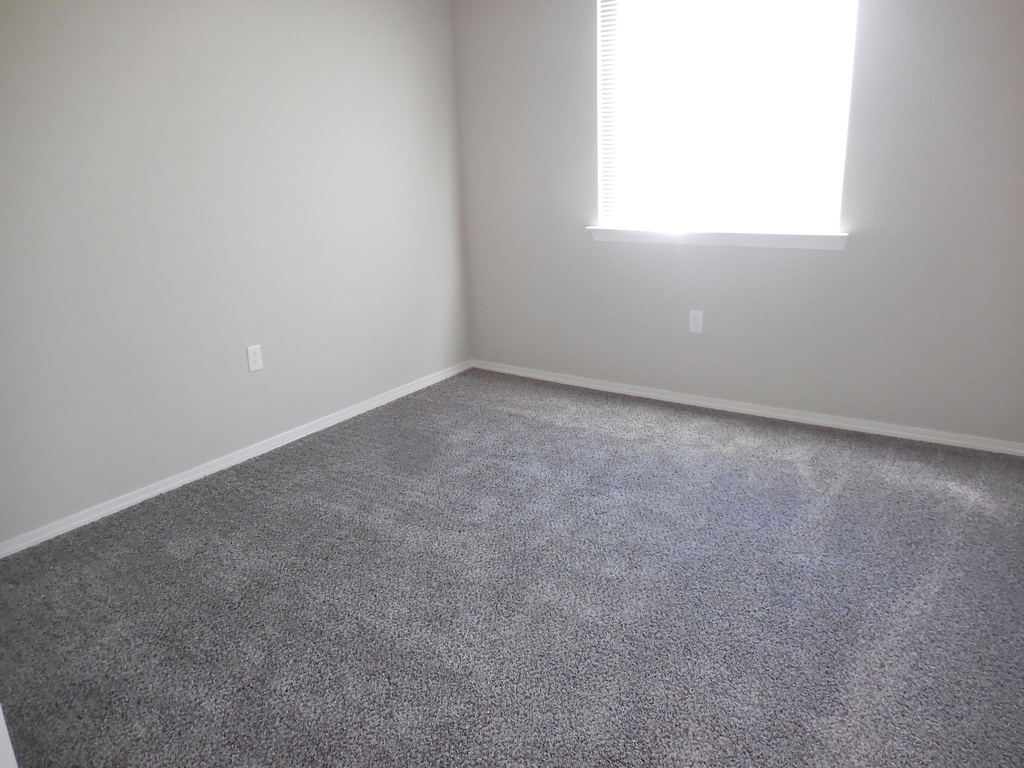 11605 Flor Cedro Place - Photo 13
