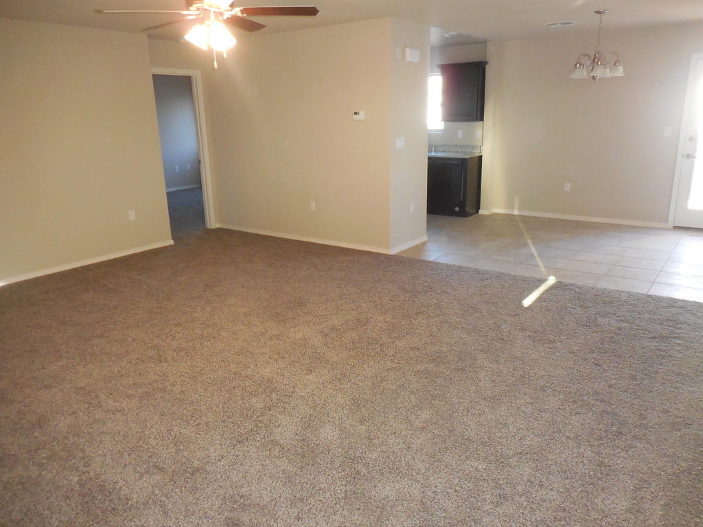 11605 Flor Cedro Place - Photo 2