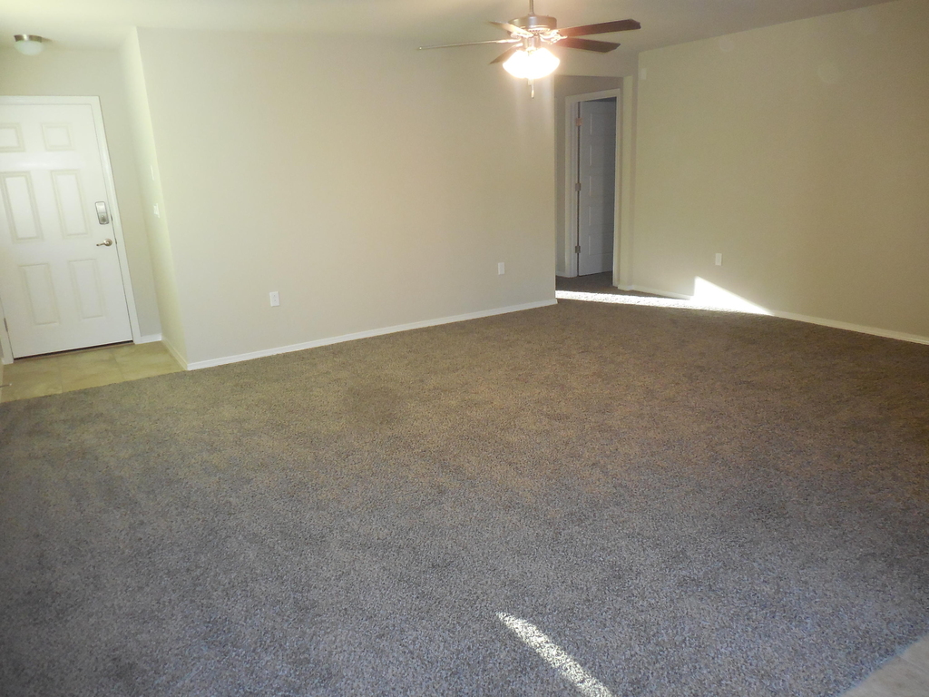 11605 Flor Cedro Place - Photo 3