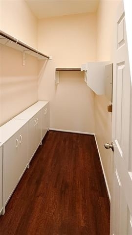 4308 Summer Star Lane - Photo 12